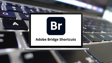 Adobe Bridge Shortcuts