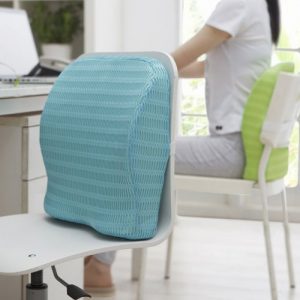 Backrest Cushion with Memory Foam for Study, Home, Office chair & Sofa with Lumbar Support