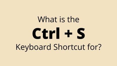 What is the Ctrl + S Keyboard Shortcut for