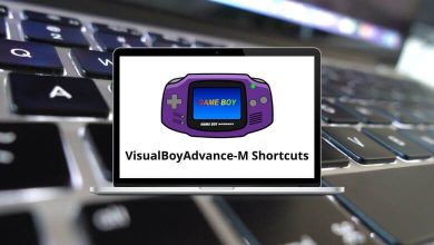 VisualBoyAdvance-M Shortcuts