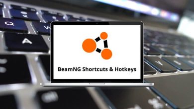 BeamNG Shortcuts & hotkeys