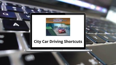 City Car Driving Game Shortcuts