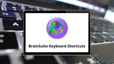 BrainSuite Keyboard Shortcuts