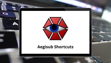 Aegisub Shortcuts