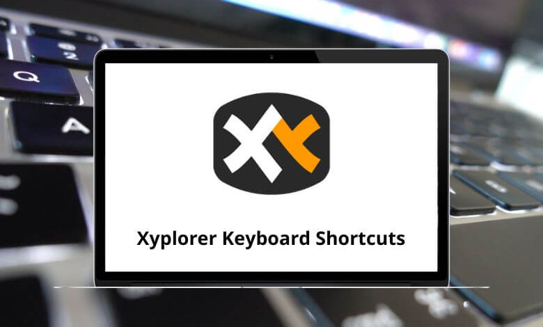XYplorer 25.00.0100 download the new version for android