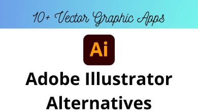 Best Adobe Illustrator Alternatives