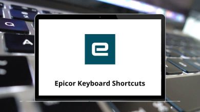 Epicor Keyboard Shortcuts