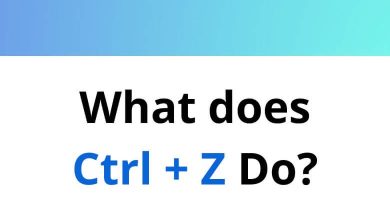 What does Ctrl + Z Do