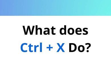What does Ctrl + X Do