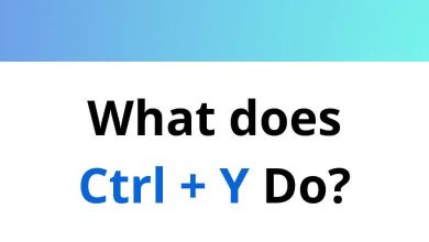What does Ctrl + Y Do