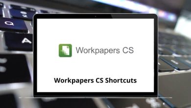 Workpapers CS Keyboard Shortcuts