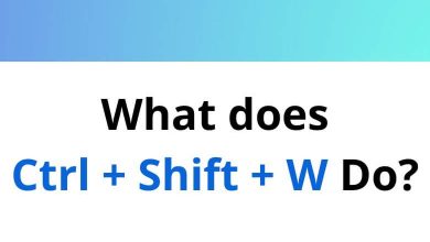 What does Ctrl + Shift + W Do