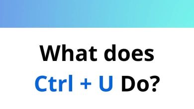 What does Ctrl + U Do