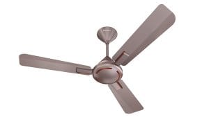 Havells 1200mm Ambrose Energy Saving Ceiling Fan