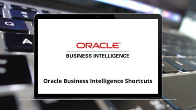 Oracle Business Intelligence Enterprise Edition Shortcuts