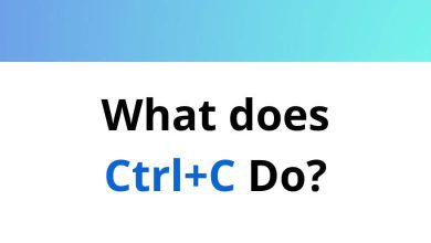 What does Ctrl+C Do