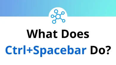 What Does Ctrl+Spacebar Do