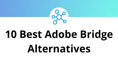 Best Adobe Bridge Alternatives & Competitors