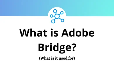 What is Adobe Bridge - What is it used for