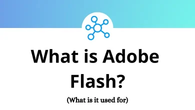 What is Adobe Flash - What is it used for