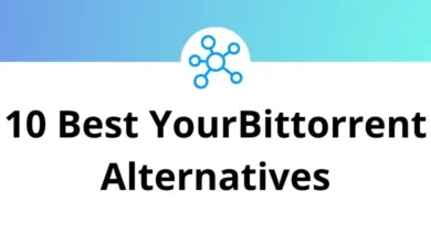 10 Best YourBittorrent Alternatives