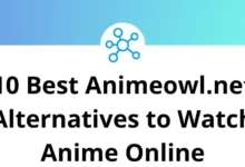 10 Best Animeowl.net Alternatives to Watch Anime Online