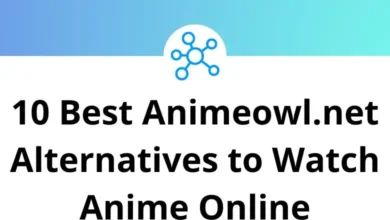 10 Best Animeowl.net Alternatives to Watch Anime Online