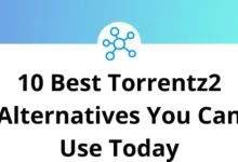 10 Best Torrentz2 Alternatives You Can Use Today
