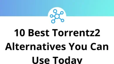 10 Best Torrentz2 Alternatives You Can Use Today