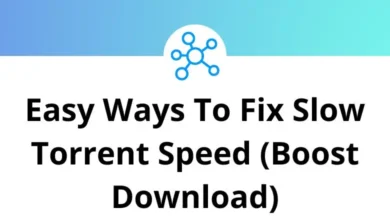 Easy Ways To Fix Slow Torrent Speed (Boost Download)