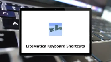 LiteMatica Keyboard Shortcuts