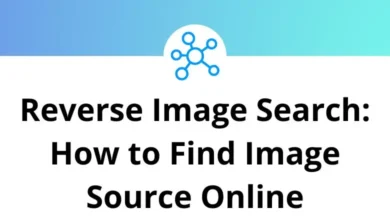 Reverse Image Search How to Find Image Source Online