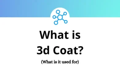 What is 3d Coat - What is it used for