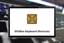 DOSBox Keyboard Shortcuts