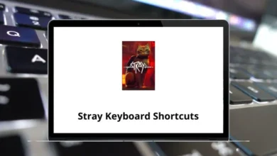 Stray Keyboard Shortcuts & Controls